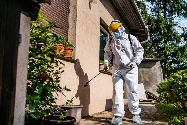 Best Rat Extermination Near Me  in Fris, CO