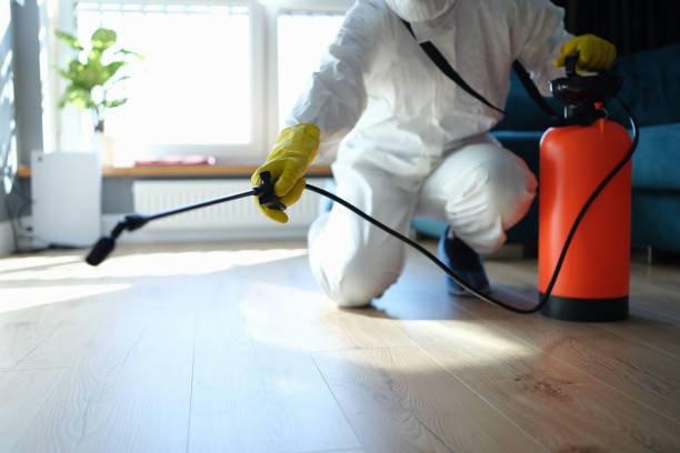 Pest Control Cost in Frisco, CO