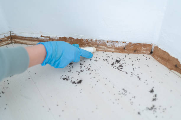 Best Pest Inspection Near Me  in Fris, CO